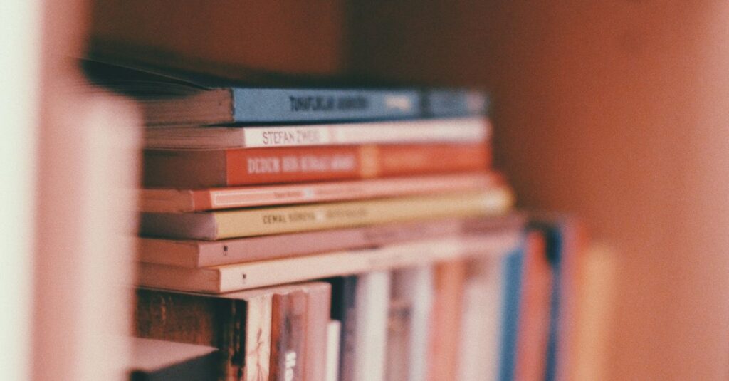 やわらかな光の中に並ぶ本たち。どこから読み始めるかで、物語との出会い方が変わってくる。