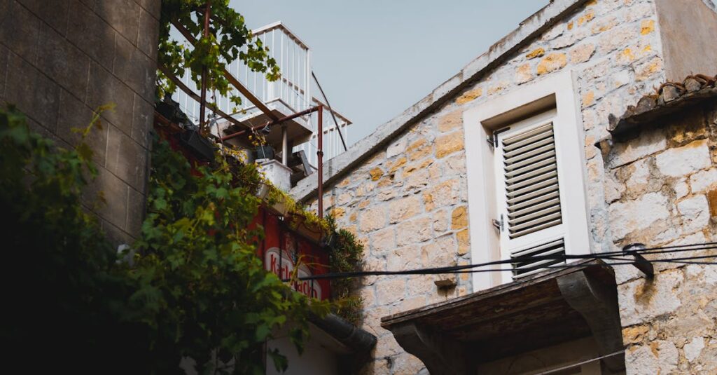 石垣を這うふたつの蔦が、時間をかけてゆっくりと絡み合い強くなっていく。自然の温かみある情景。