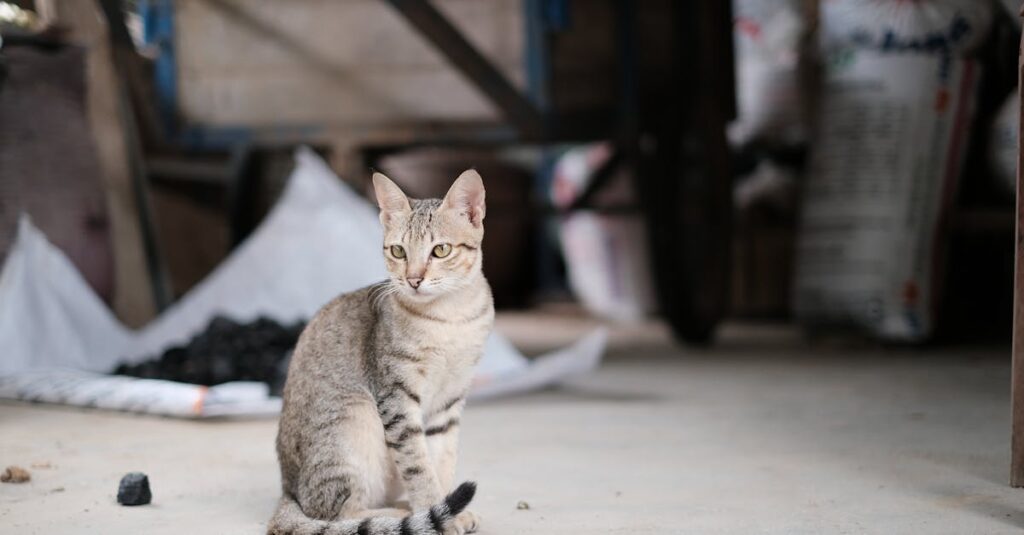 涙を流す相手にただ黙って寄り添う三之丞の静かな優しさが伝わる場面。