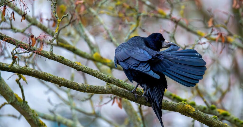 観察することで物語に静かに影響を与えるミステリアスなアニメキャラクター