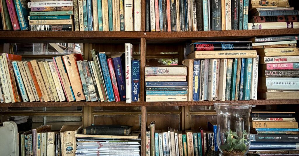 やわらかな光の中に並ぶ本たち。どこから読み始めるかで、物語との出会い方が変わってくる。