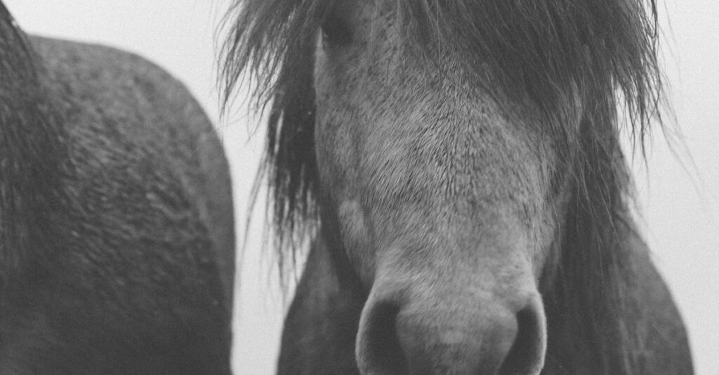 魔法よりも大切な心の強さを描いたファンタジーアニメの印象的なシーン