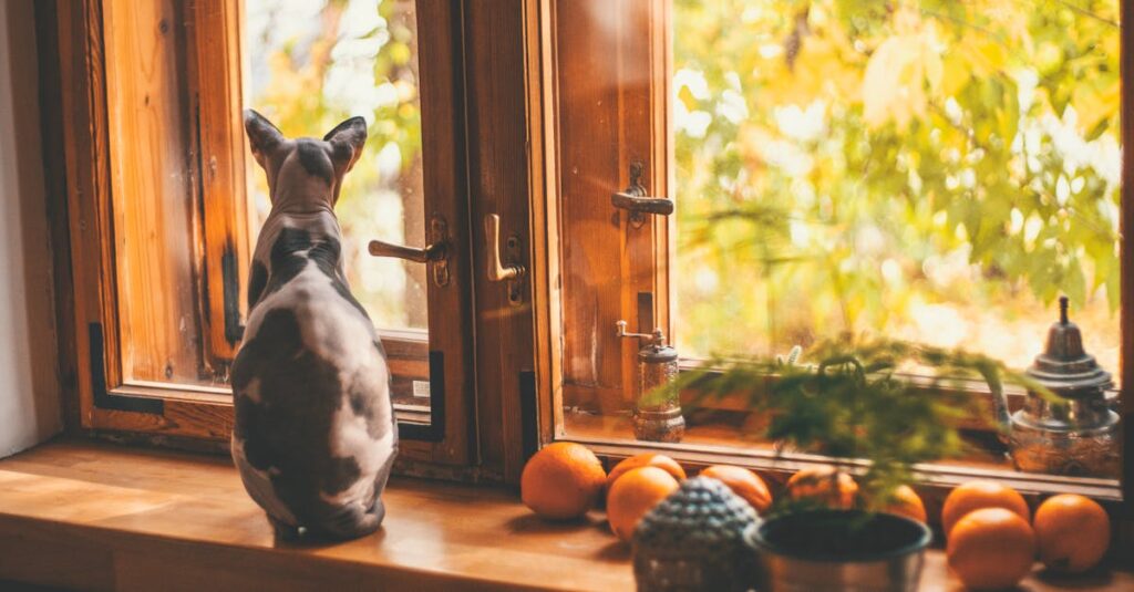 読後に心が温かくなるような静かな出会いと縁を象徴するアニメのような印象的な場面。