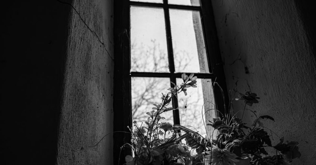 心が少し整ったあとで、出会いは静かに近づいてくる