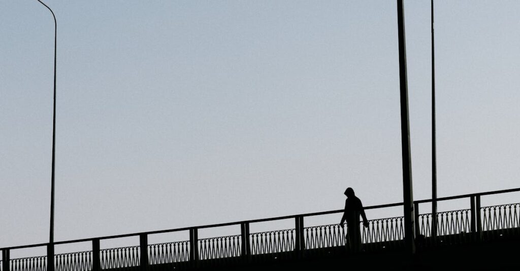 夕暮れの橋にひとり立つ人。橋渡しではなく、自分のために歩き出す瞬間を象徴する風景。