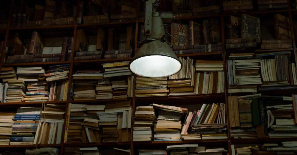 やわらかな光の中に並ぶ本たち。どこから読み始めるかで、物語との出会い方が変わってくる。