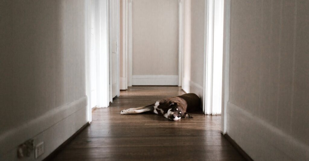 涙を流す相手にただ黙って寄り添う三之丞の静かな優しさが伝わる場面。