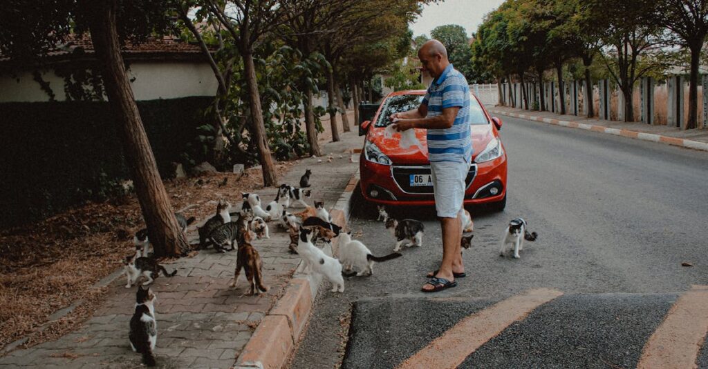 他人のために動くことでしんどさを抱える優しい主人公が、苦しさを乗り越えて成長していく姿