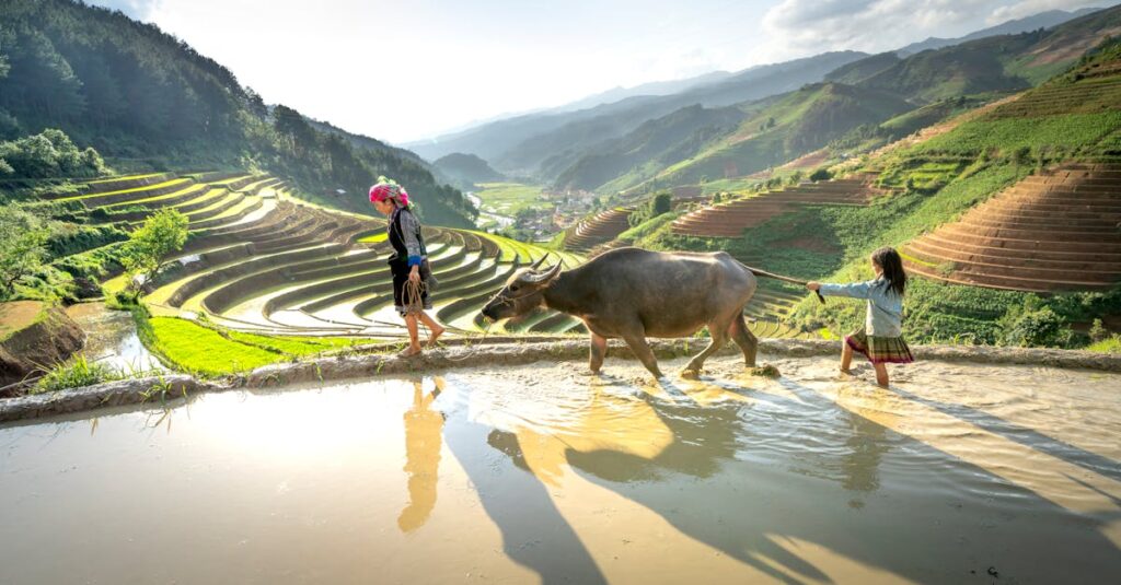 物語の結末で前を向いて歩き出すシュライナが自分の人生を選んだ姿を象徴するシーン。