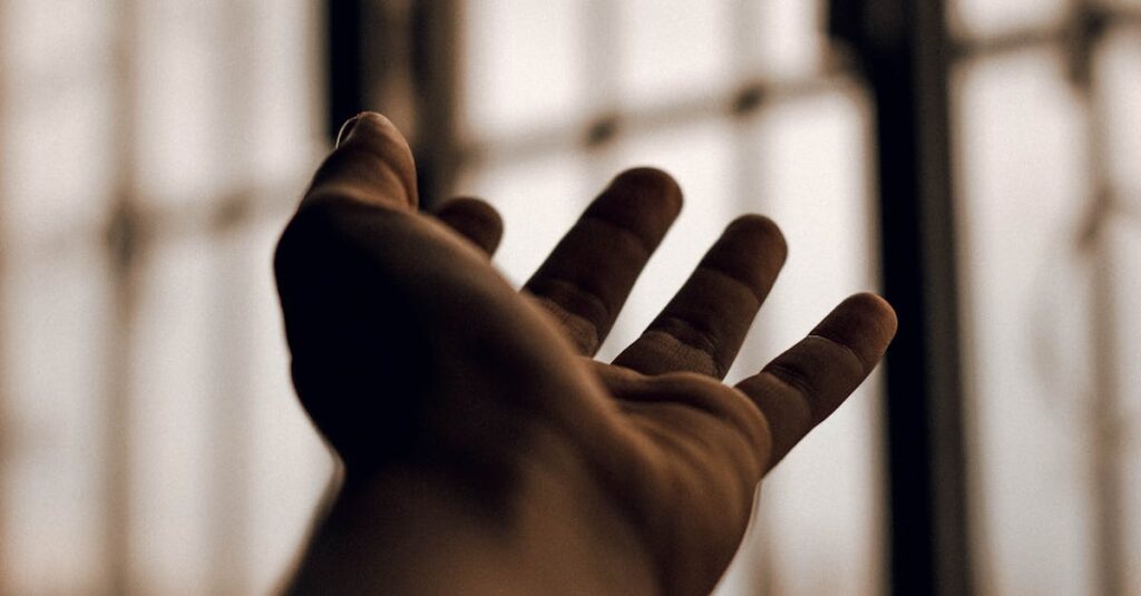 去ろうとする誰かが振り返り、手をわずかに伸ばす。もうひとりは驚いて立ち止まる。夕方の温かな光の中で。