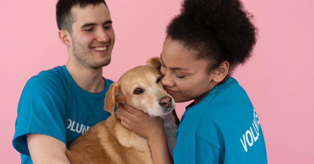 街での人間関係が番様と梟の絆を映し出す鏡として機能している。