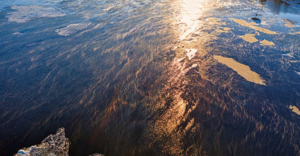 ご縁は無理に探さなくても、静かに流れてくるものかもしれない