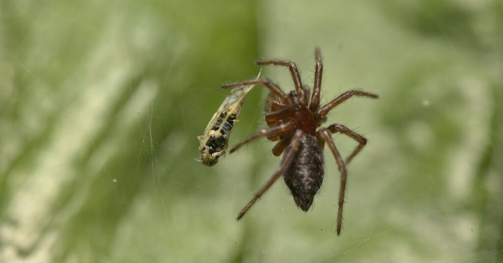 複雑に絡み合う人間関係とご縁を描いた感情豊かなラブファンタジー作品の登場人物たち