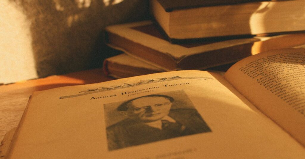 木の棚に並んだ漫画の積み重ね。午後の温かな光が柔らかな影を落とす。懐かしくて穏やかな情景。