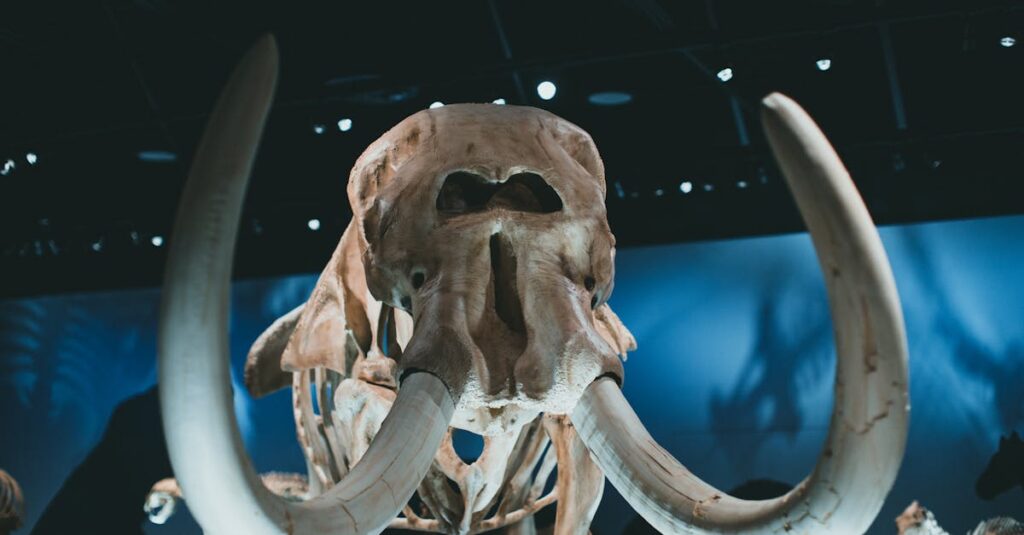 自分自身の幸福や生き方を見つめ直すアニメの登場人物が自分の意志で人生を選ぶ姿