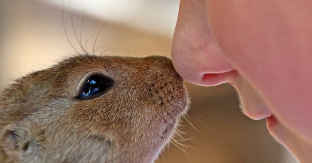 心を許し始めた子どもと主人公が静かに手をつなぐ、信頼の芽生えを感じさせるアニメの感動シーン。