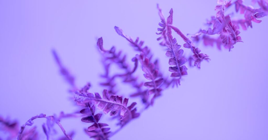 薫る花は凛と咲く イメージ 花と青春の淡い世界