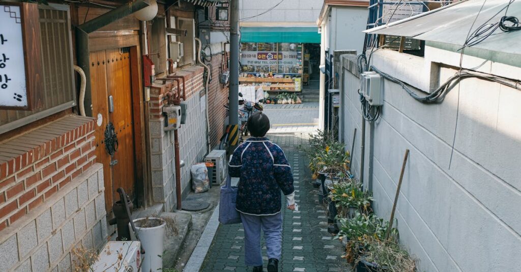 細い石畳の道をひとりで前に進む女性。背中に小さな荷物を背負いながら、振り返らずただ前を向いている。静かな気品がある。