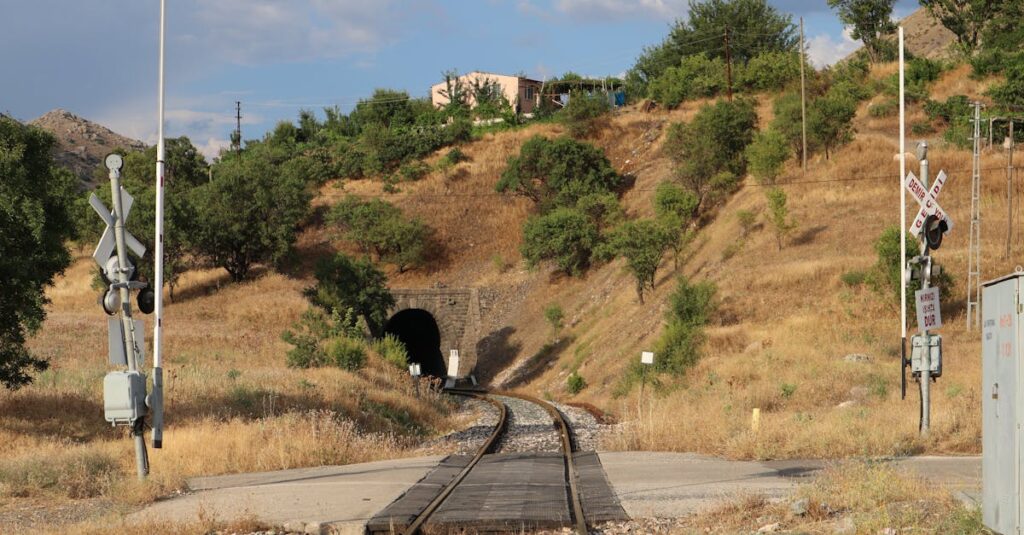 新しい方向へ向かう分かれ道の希望あるイラスト