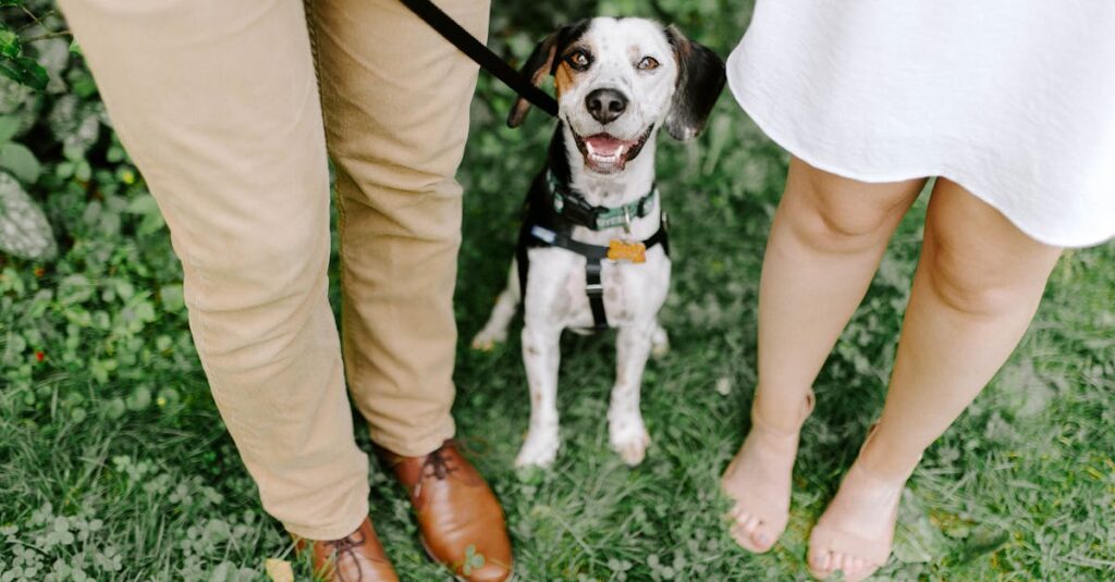 恋愛漫画の登場人物と関係性が描かれた相関図風イラスト