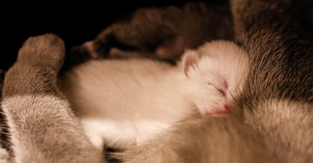 自分の価値を疑いながらも愛されることを受け入れようとするアニメヒロインの感情的なシーン。