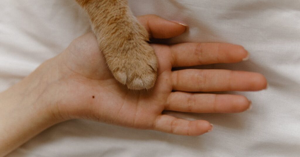 アニメで描かれる繊細で優しい人間関係のワンシーン