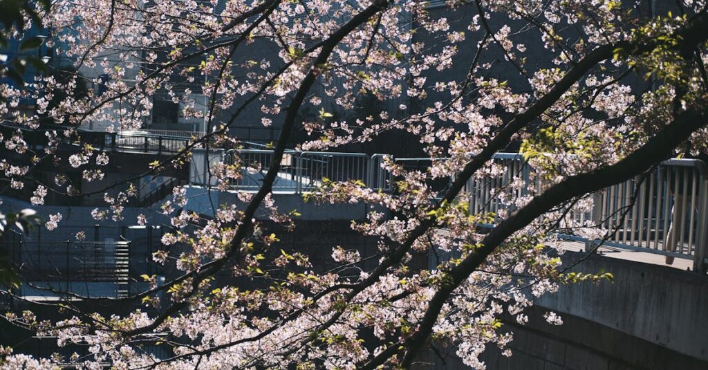 静かに出会う二人。違う世界が交わる、やわらかな瞬間。