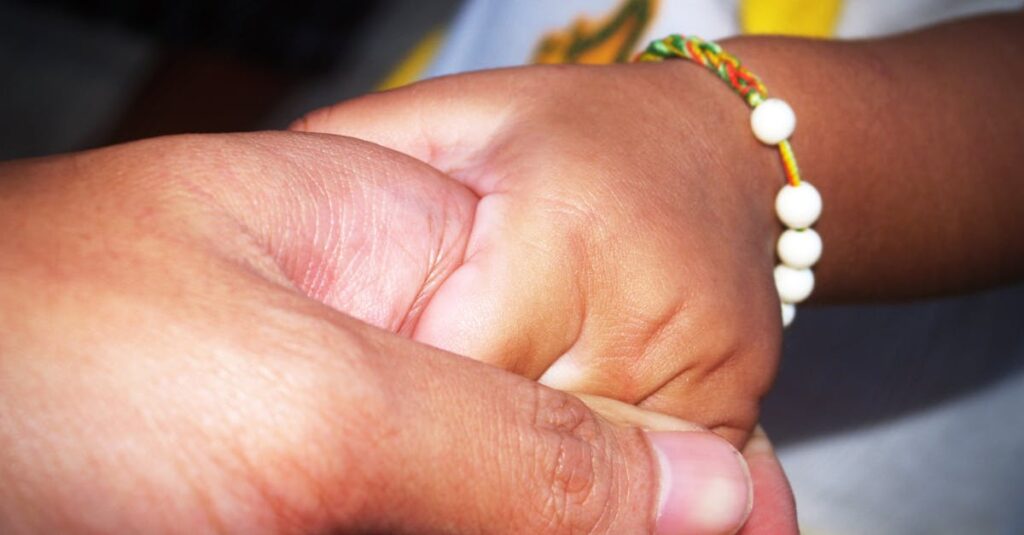 そっと両手で包まれた小さな芽。丁寧に育てようとする温かさが伝わる。