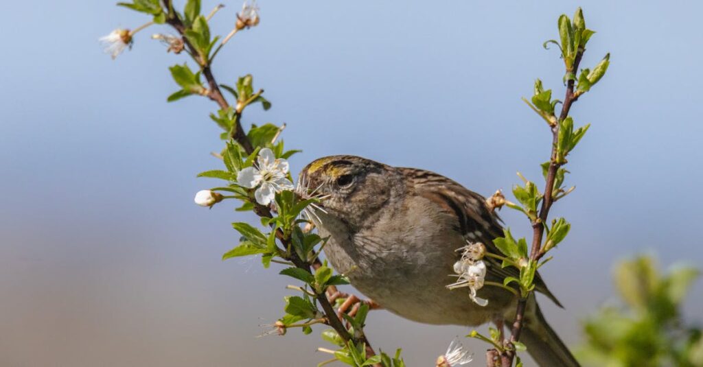 アニメの主人公が追放されたあと、希望に向かって歩き出すシーン。