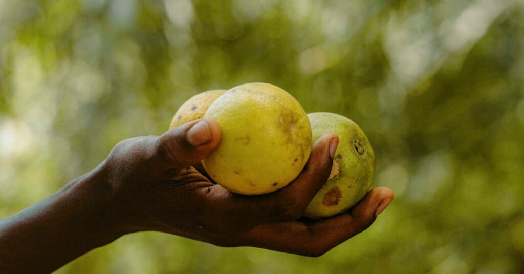 静かに手を差し伸べる人。完璧じゃないから、届く優しさ。