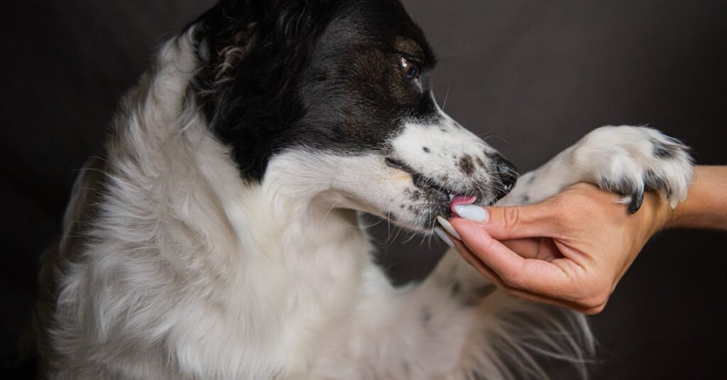 アニメで描かれる不器用だけれどもまっすぐな優しさの象徴的な場面