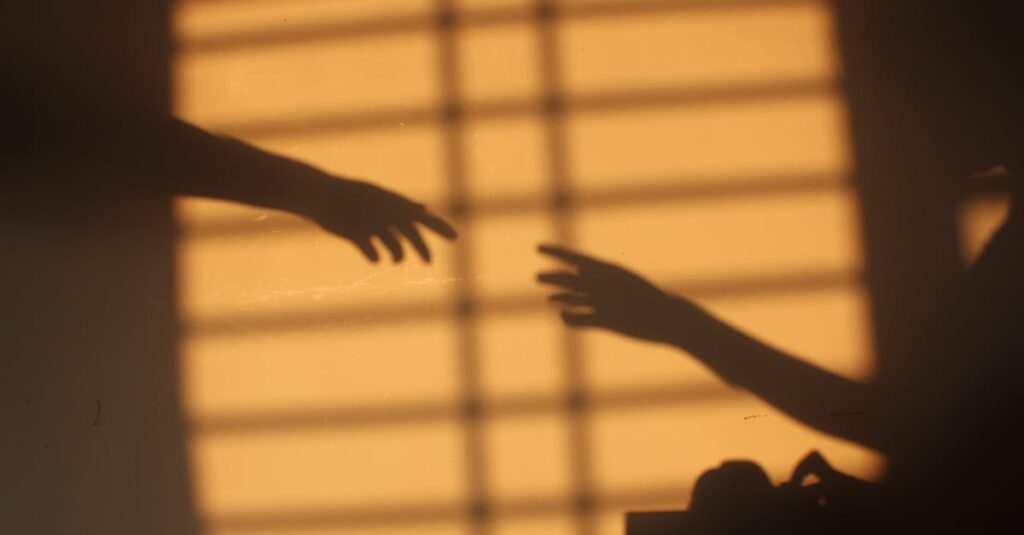 静かな音楽と光に包まれたアニメの感動的な場面