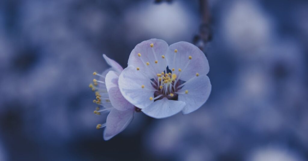 朝の光の中でゆっくり育つ小さな植物のやわらかなイラスト