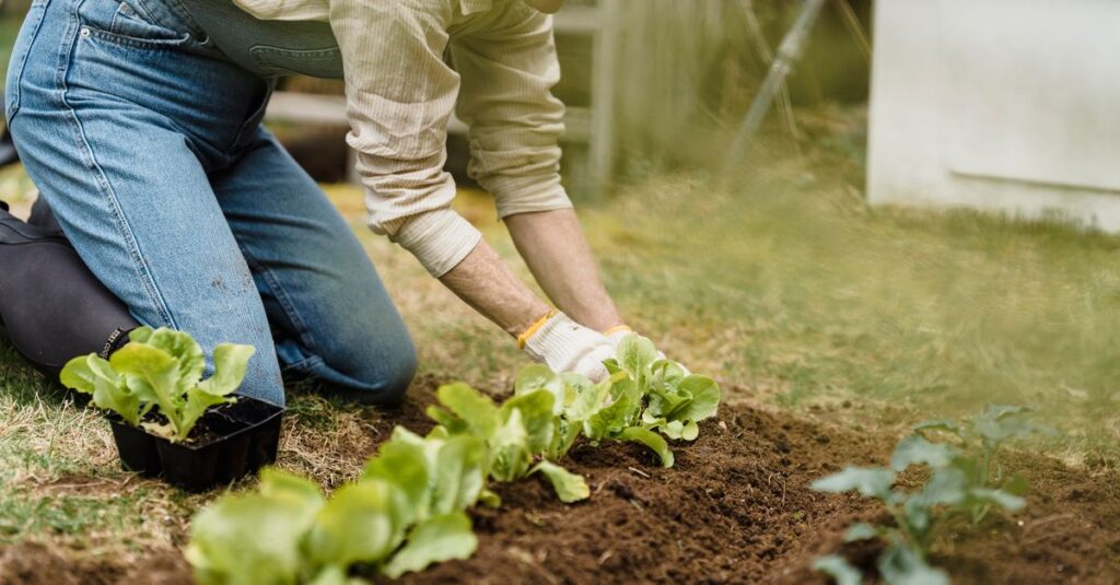 庭にひざをつき、両手で丁寧に苗を植える女性。その表情には決意と希望が宿っている。