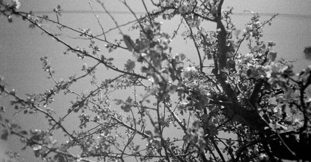 静かに変わっていく登場人物の心の成長が描かれる『薫る花は凛と咲く』のワンシーン