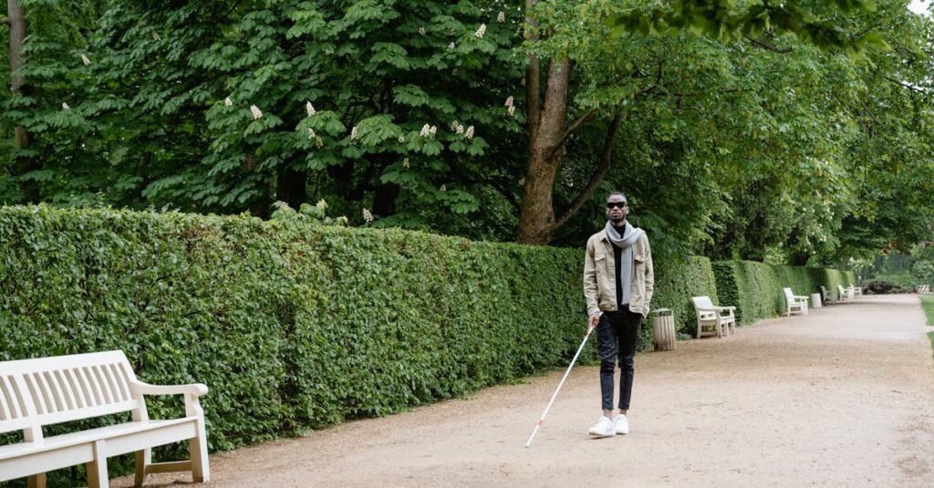 自信を取り戻し前向きに歩き始めたアニメの男性キャラクターが、夕焼けの中で微笑むラストシーン。