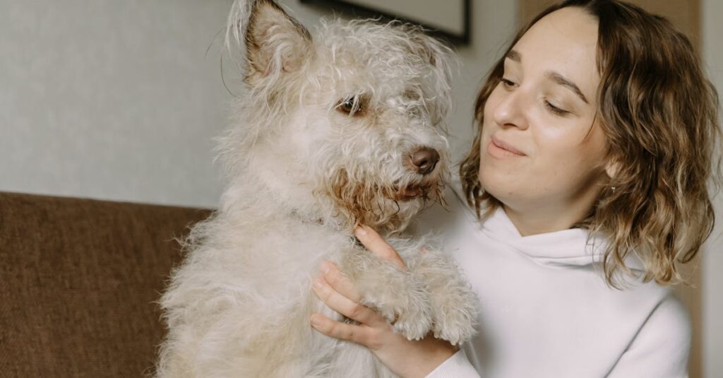 アニメキャラたちが信頼でつながった仲間として旅を続けている温かなシーン。