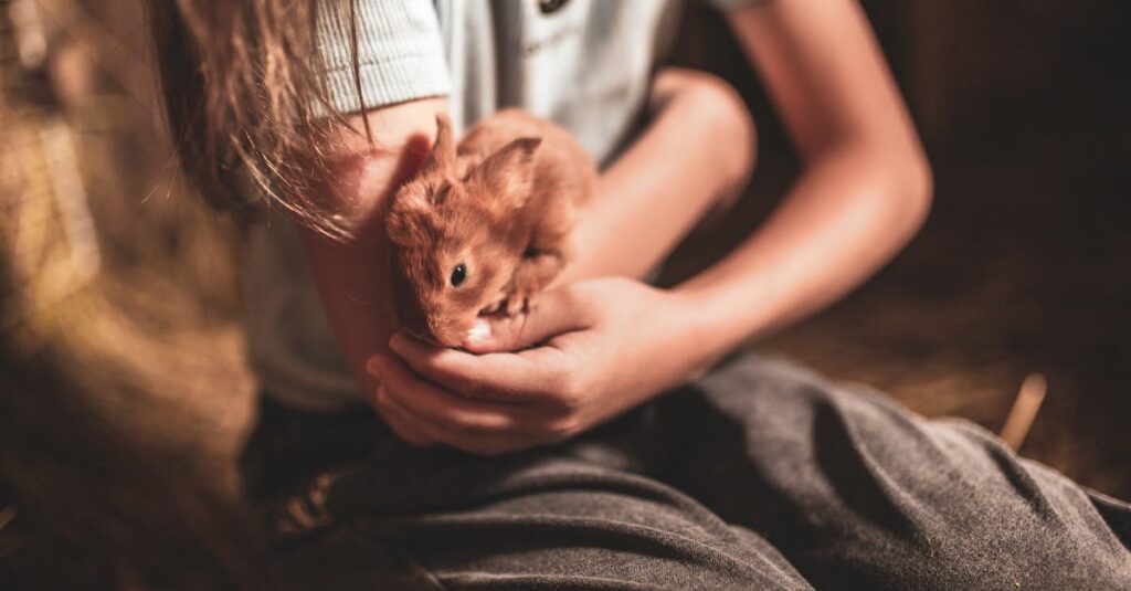 家族のぬくもりに包まれる子どものやわらかなイラスト