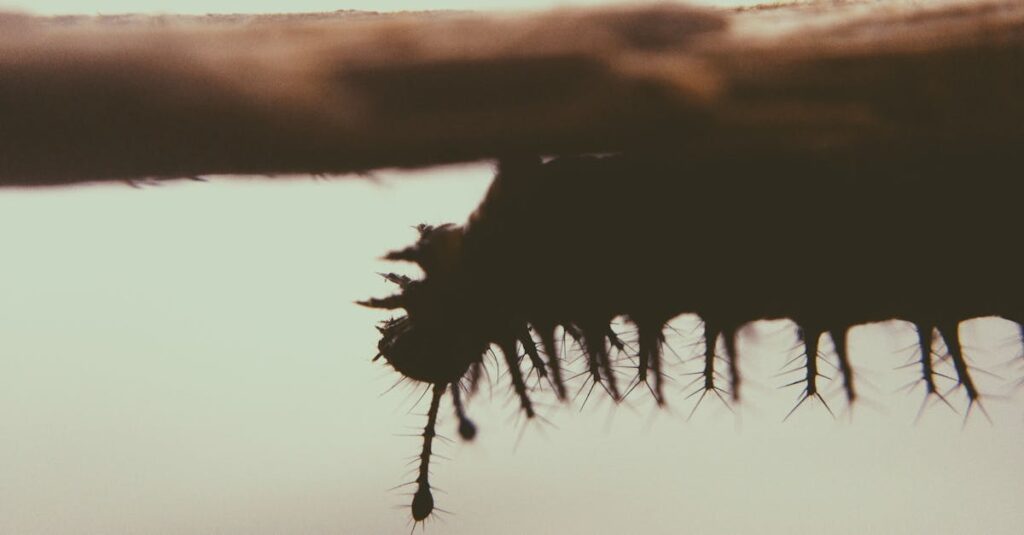 幸せを許した自分に訪れる静かな内面の変化と自信がにじむ表情の女性のイメージ