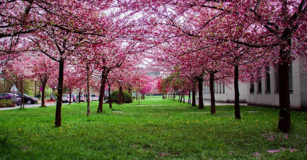 恋によって心が揺れながらも成長していく様子を描いたやさしいイラスト