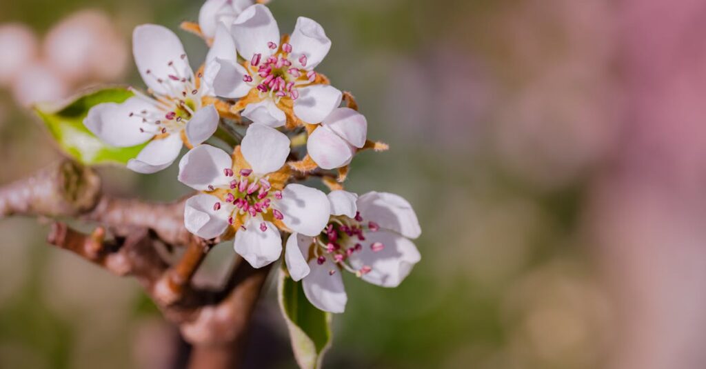 並んで歩く二人。恋が心に静かな変化をもたらす、やわらかな春の道。