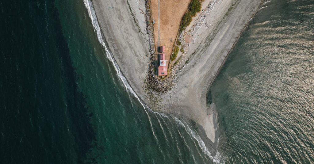 嫉妬の感情がきっかけとなり、自分の本当の願いに気づき前を向いて歩き出す女性の姿