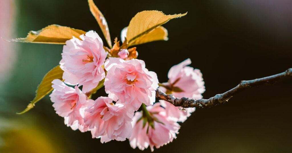 恋によって心が揺れながらも成長していく様子を描いたやさしいイラスト