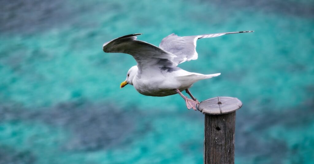 恋愛に踏み出すための小さな勇気を出して一歩前に進む女性の姿