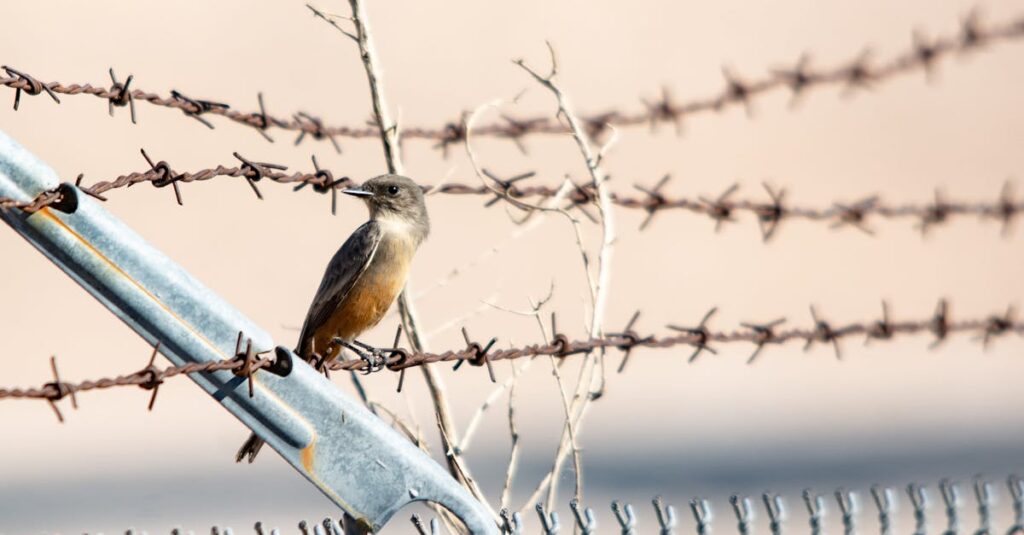 本当はノーと言いたいのに我慢してしまう女性の静かな表情