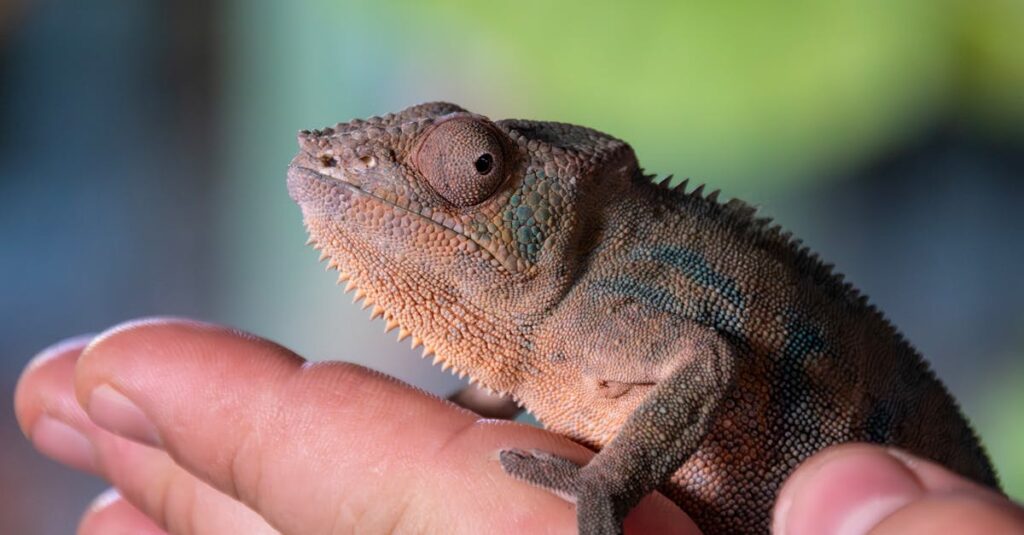 アニメの登場人物たちが心の境界を超えていく様子を象徴する繊細な場面