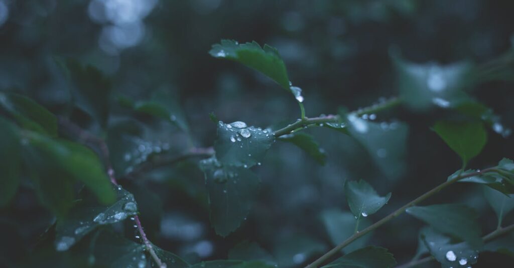 雨の音がゆっくりと心の緊張をほどいていくイメージ