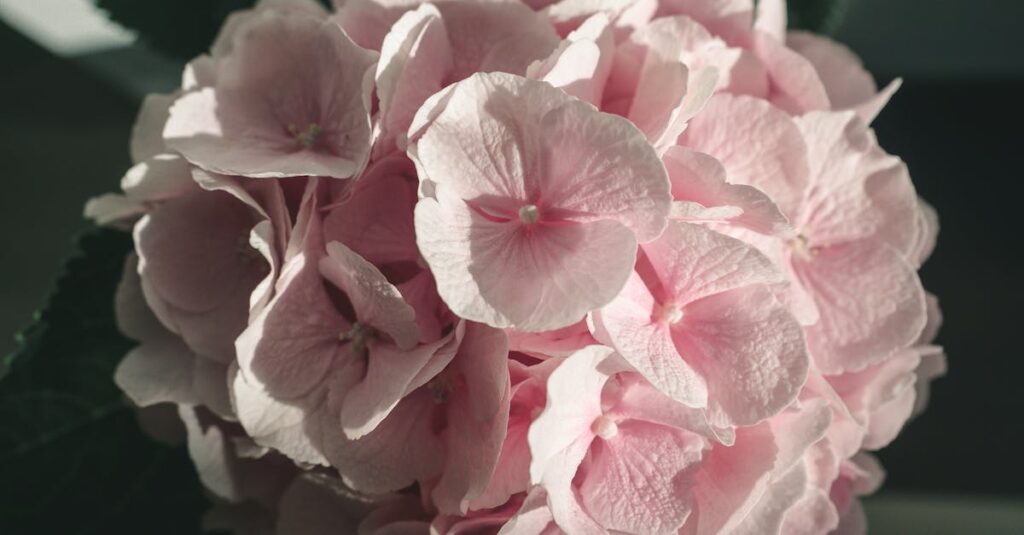 自分を癒すことで愛が花開く、やわらかな朝のイメージ