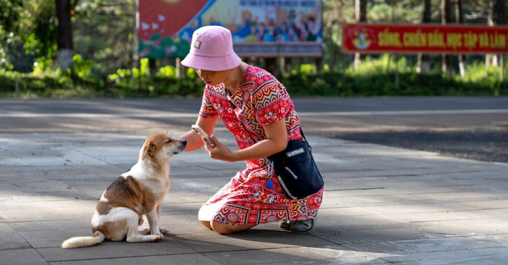 動物占いのキャラクターと人とのコミュニケーション傾向を示す図
