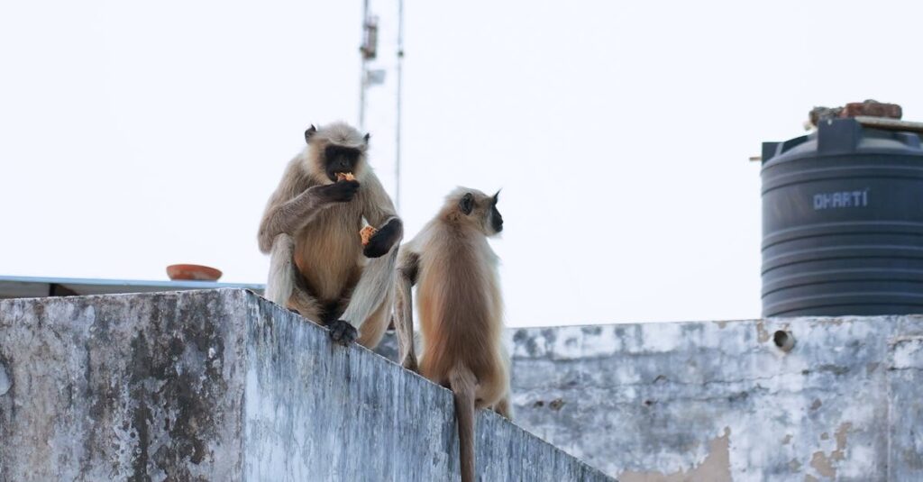 二面性を抱えるキャラと星座から学ぶ、自分の内面へのやさしいまなざし